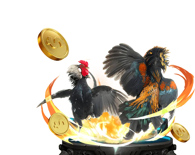 Biểu đồ tiêu chí lựa chọn nền tảng đá gà Thomo uy tín