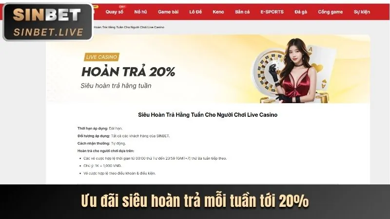 Hoàn Trả Thể Thao & Đá Gà